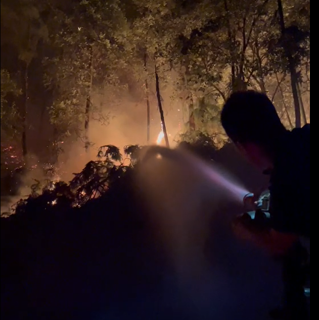 ��8&middot;25����ɽ��ʵս������Ƶ