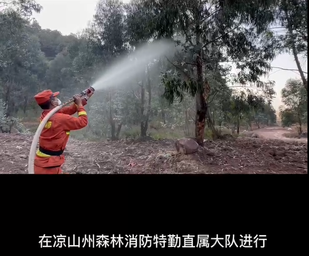 ���߷������������ȼ������������Ƶ