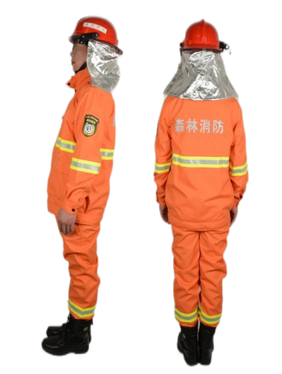 WTSL-2ɭ�ַ����