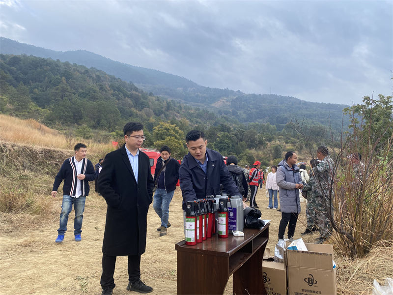 ��֦����������2022��ɭ�ֲ�ԭ������Ʒ����